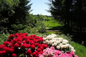 A garden with red and white flowers, surrounded by trees and a grassy field. - Cottage on Fur island with exceptional sea view (Fur)
