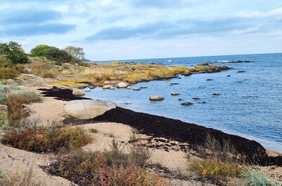 Summer house in Årsdale with a beautiful sea view