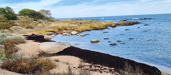 Summer house in Årsdale with a beautiful sea view