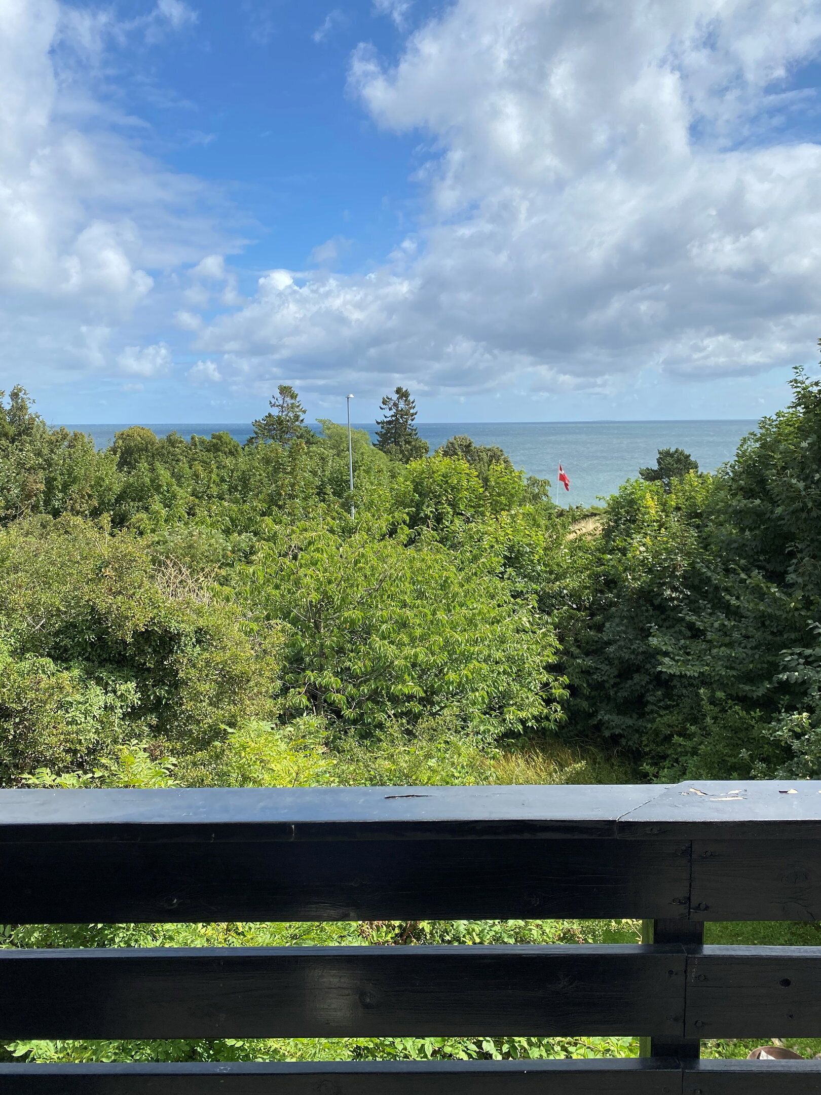 Une vue d’une zone côtière, avec une végétation luxuriante et un ciel dégagé.