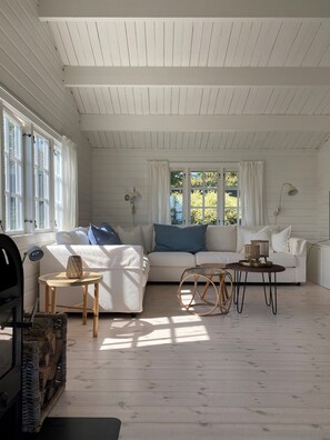 TV, fireplace, stereo - Summer house with sea view on beautiful Bornholm (Allinge)
