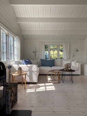 Fireplace, stereo - Summer house with sea view on beautiful Bornholm (Allinge)