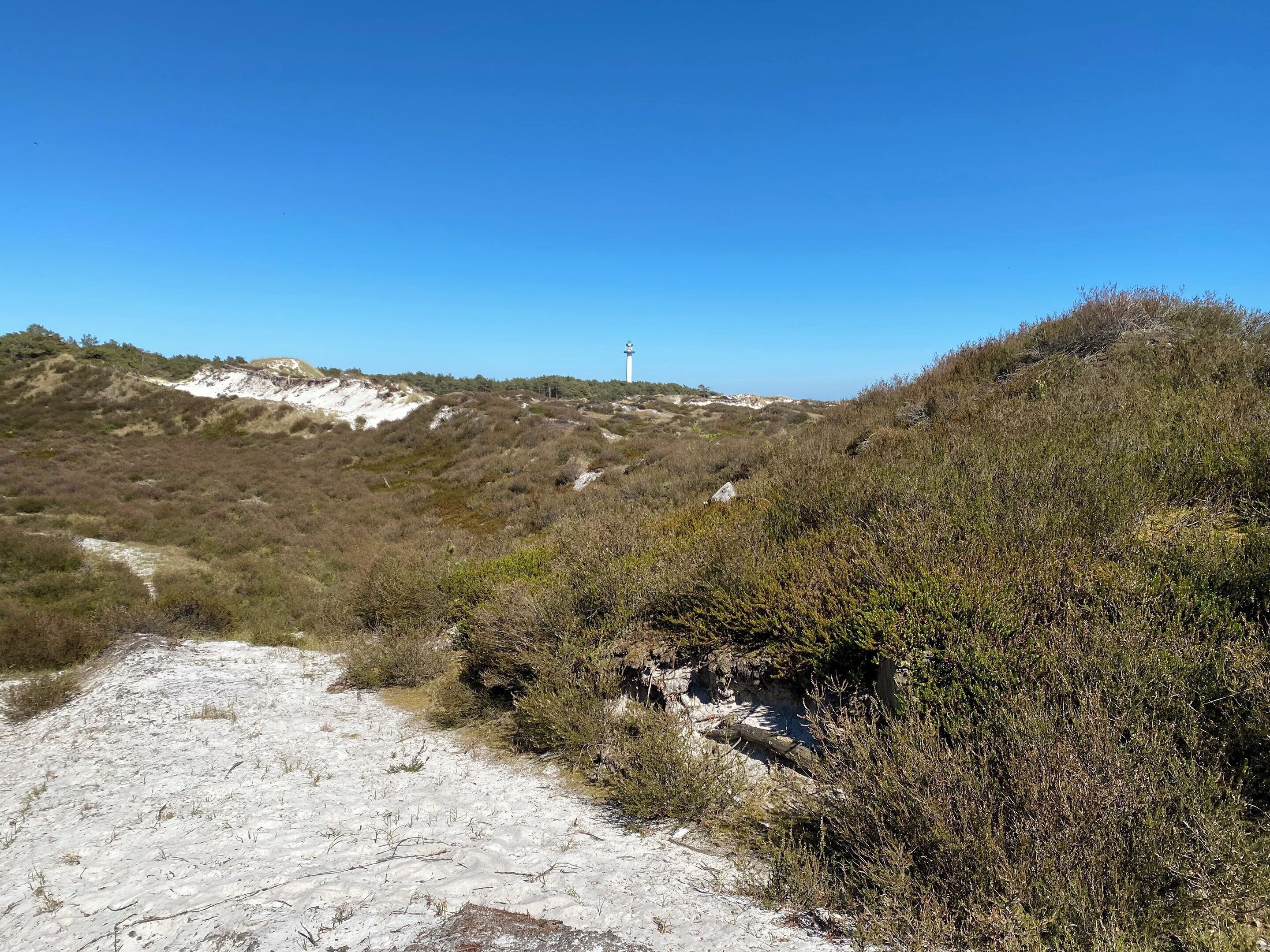 Un paysage côtier avec un phare, des sentiers sablonneux et une végétation clairsemée.