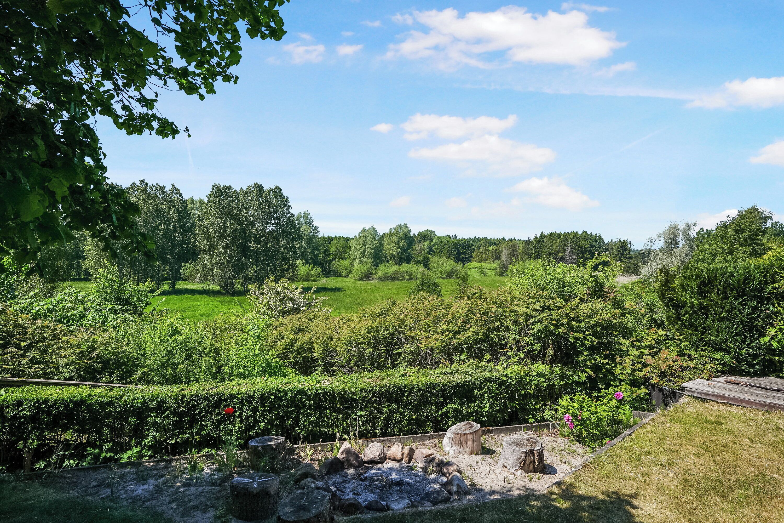 A garden with a wooden deck, a stone wall, and a variety of plants and trees.