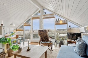 TV - Holiday home idyll in the dunes (Brovst)
