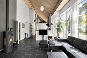 TV, DVD player - Beautiful holiday home on a scenic plot (Neksø)