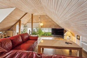 DVD player - Child-friendly cottage with large indoor pool (Otterup)