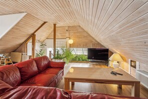TV, DVD player - Child-friendly cottage with large indoor pool (Otterup)