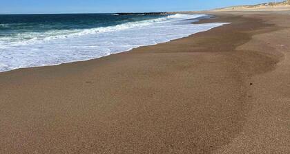 Holiday home in the first row to the North Sea