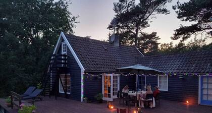 Charming cottage near the beach