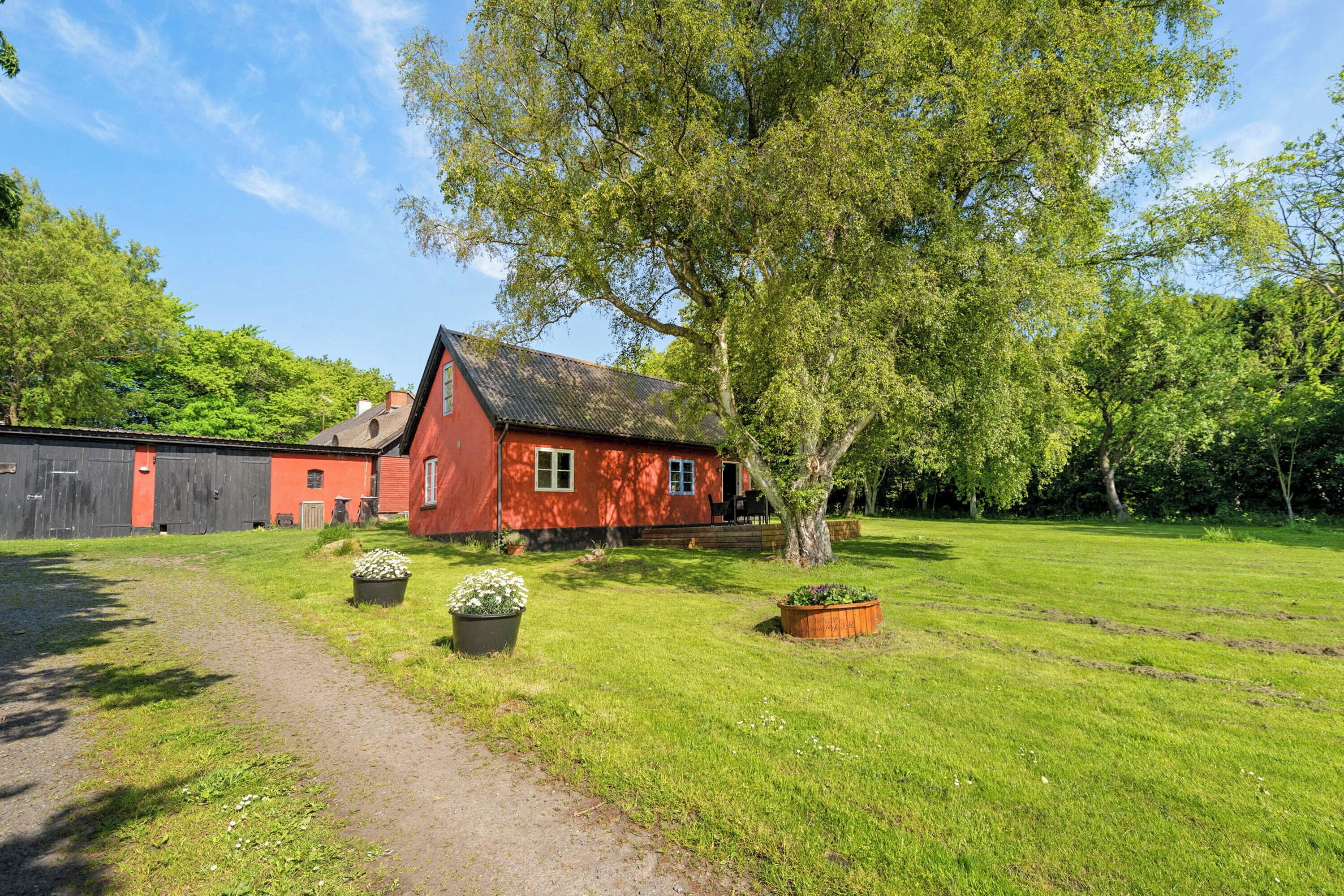 Eksteriør