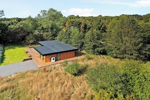 A modern house with a flat roof, surrounded by dense forest and a grassy area. - Holiday home on Bornholm close to sea and beach (Aakirkeby)