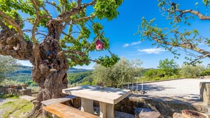 Una mesa de picnic con bancos, un comedero para pájaros y vistas del paisaje.