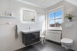 Shower, hair dryer
