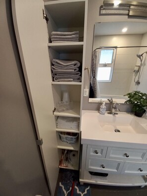 A bathroom with a white sink, a mirror, a shower, and a towel rack. - Spacious downtown character rancher (Chilliwack)