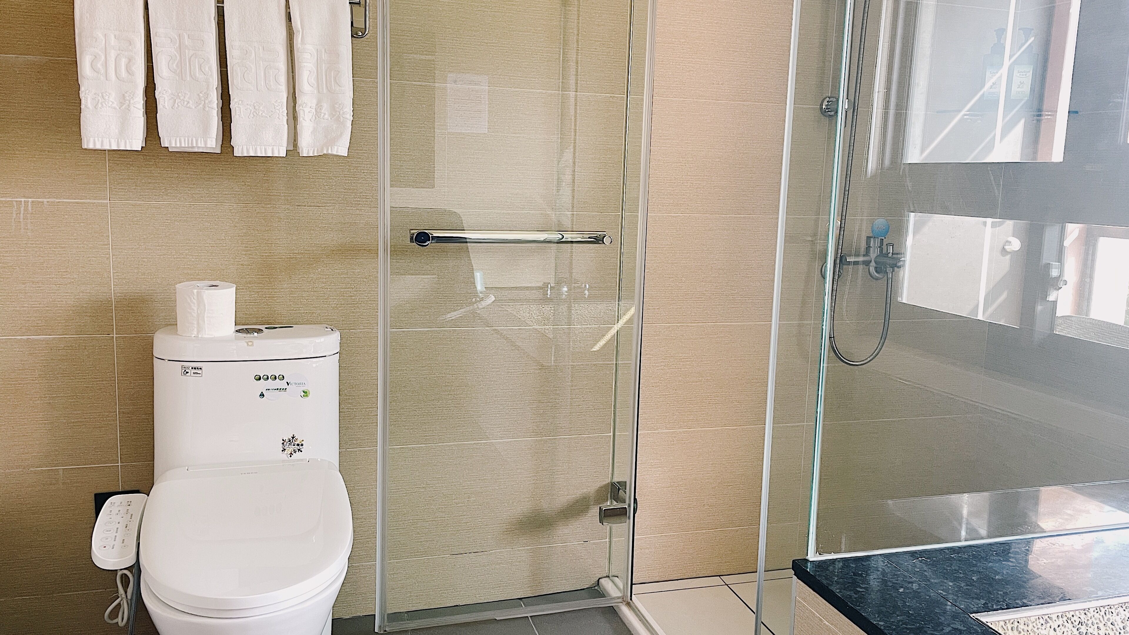 Ein modernes Badezimmer mit Duschkabine aus Glas, Toilette und Handtuchhalter.