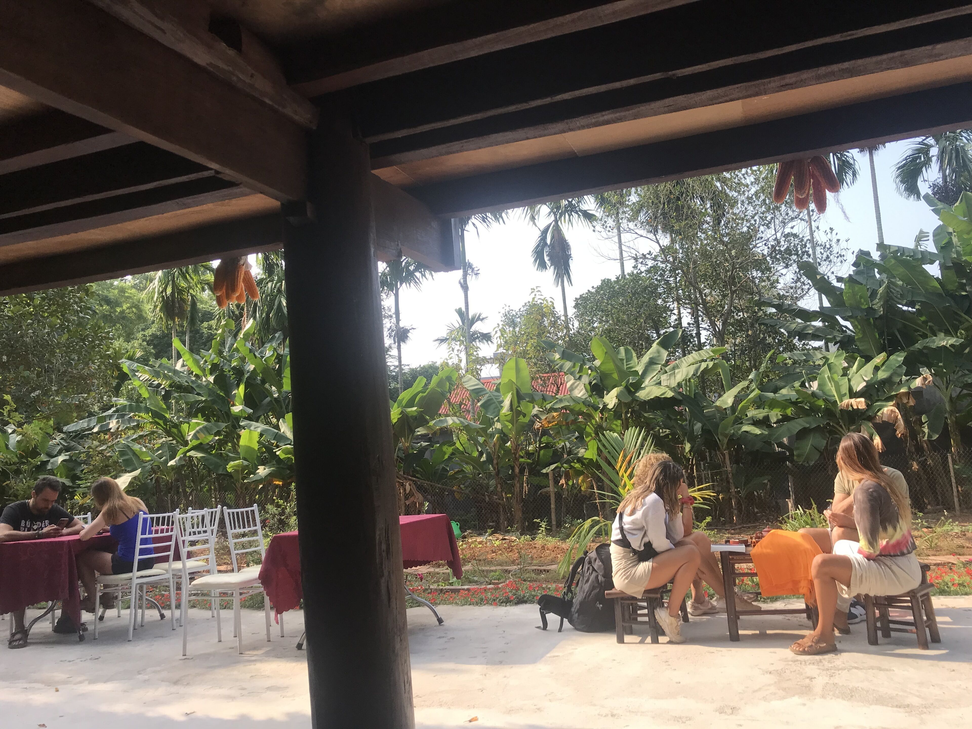 An outdoor seating area with tables and chairs, surrounded by lush greenery and banana plants.