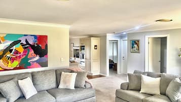 Smart TV, fireplace, DVD player, books