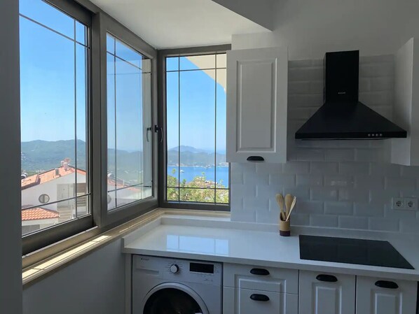 Großer Kühlschrank, Herdplatte, Geschirrspüler