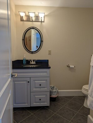 A bathroom with a vanity, a toilet, and a mirror.