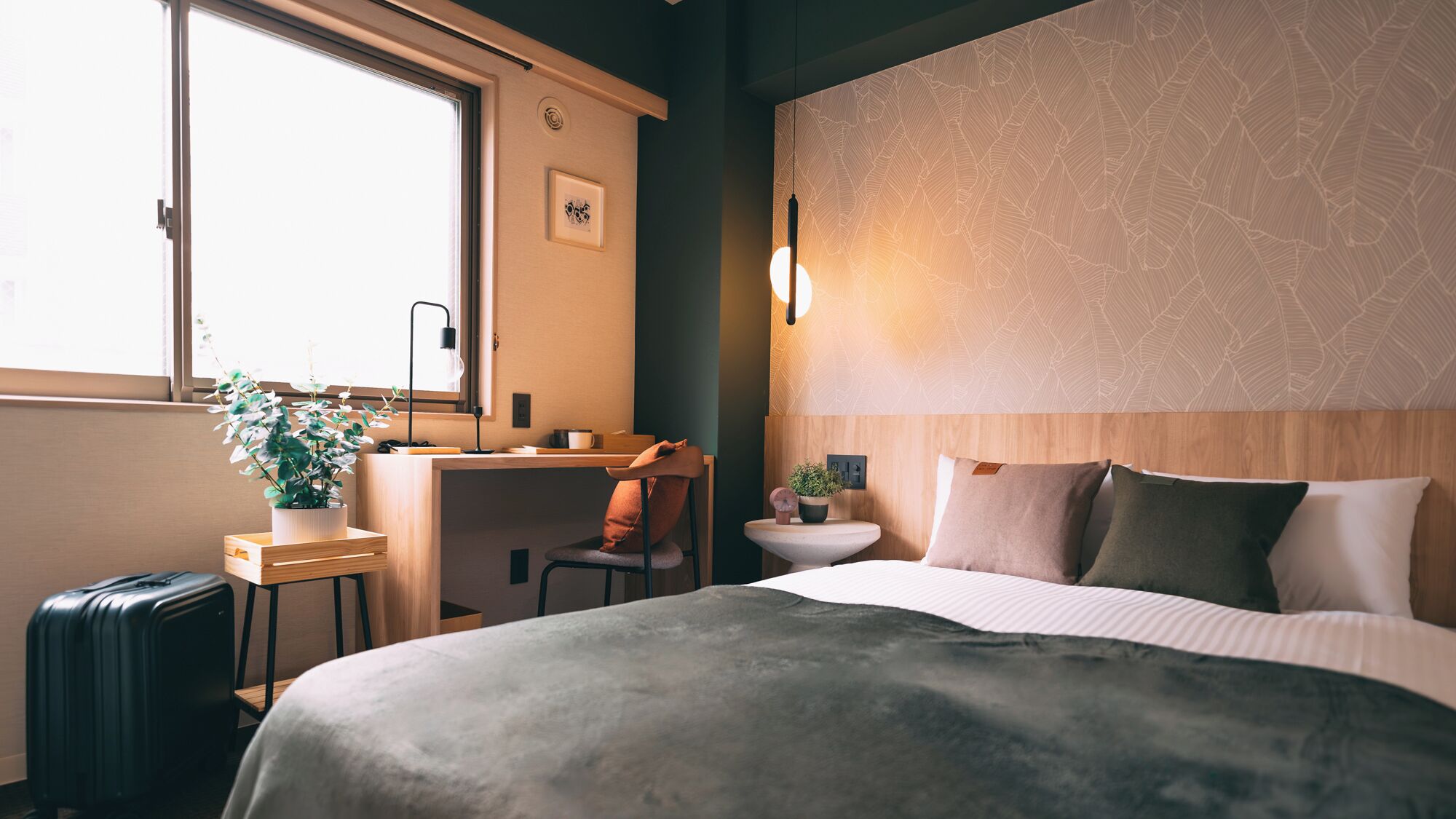 A hotel room with a bed, a desk, a chair, a suitcase, a potted plant, and a window.