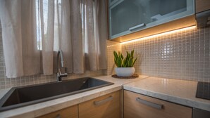 A modern kitchen with a sink, cabinets, and a potted plant.