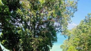 A resort with multiple wooden structures, a central staircase, and lush greenery. - Villa Hutan Datai (Langkawi)