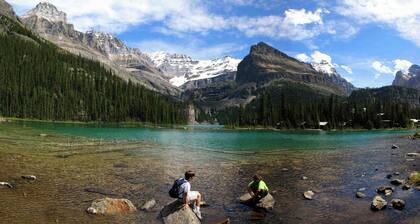Superior Bedroom Suite in Banff! Free Parking