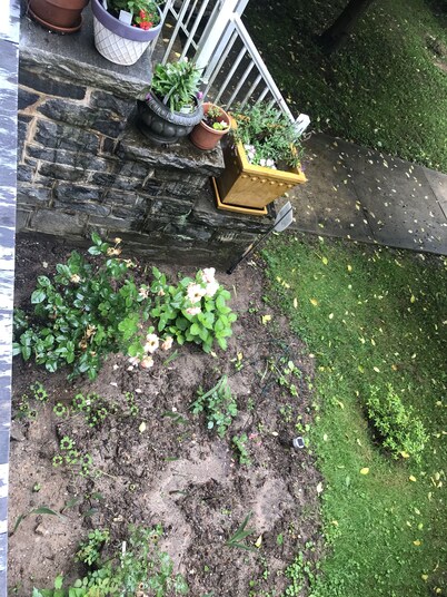 Spacious Roland Park Apt near Hopkins