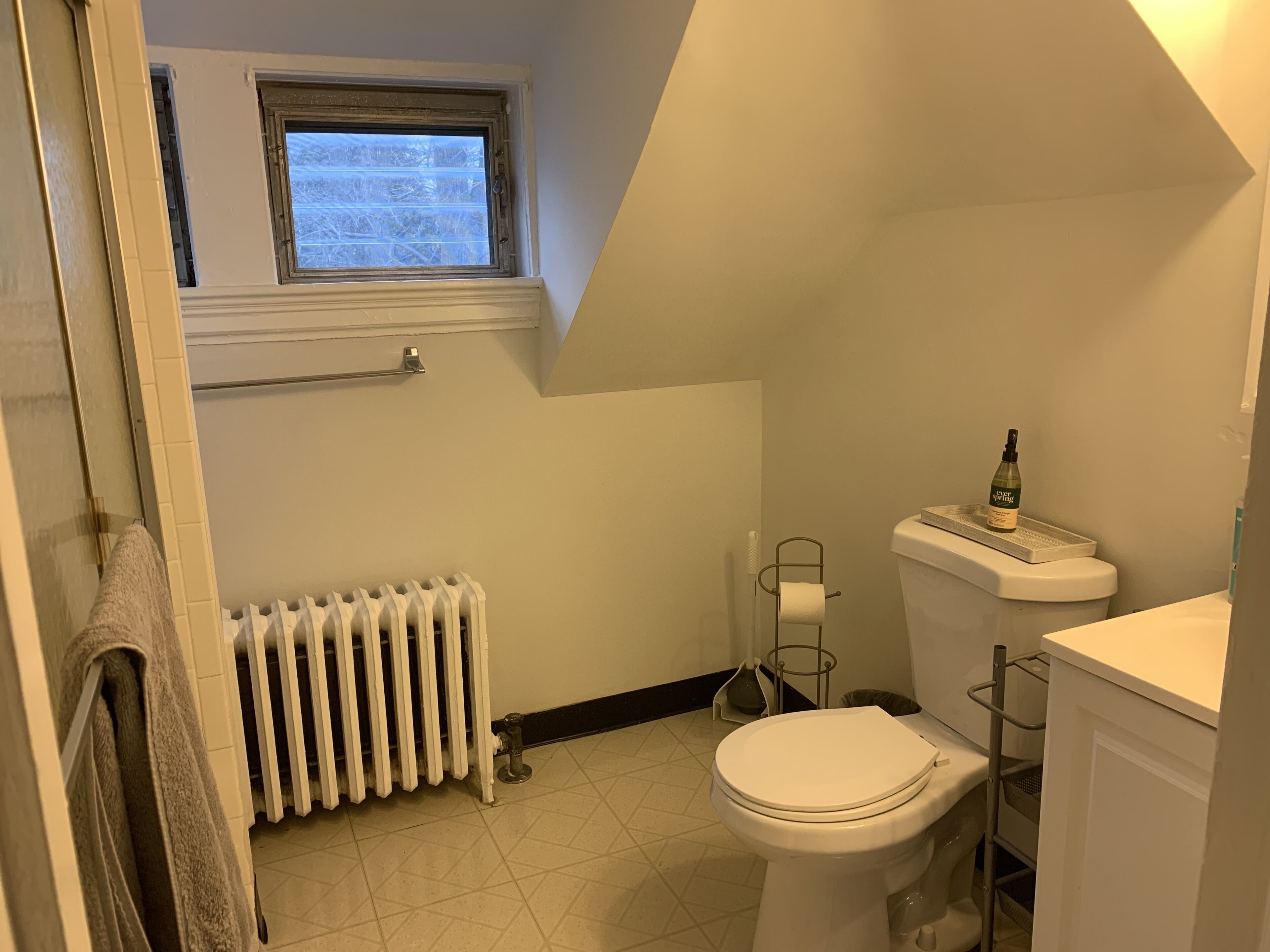 Towels, soap, shampoo, toilet paper