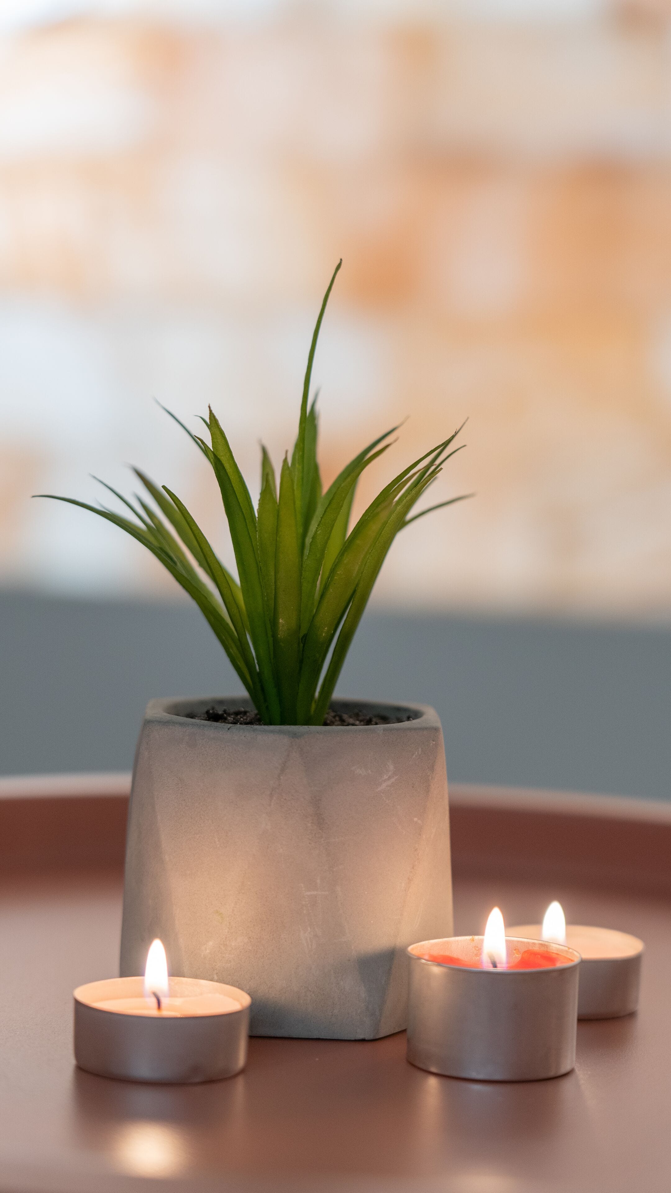 shower, free toiletries, hair dryer, slippers