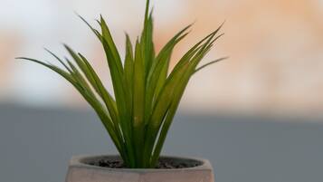 Una planta en maceta con tres velas encendidas sobre una mesa.