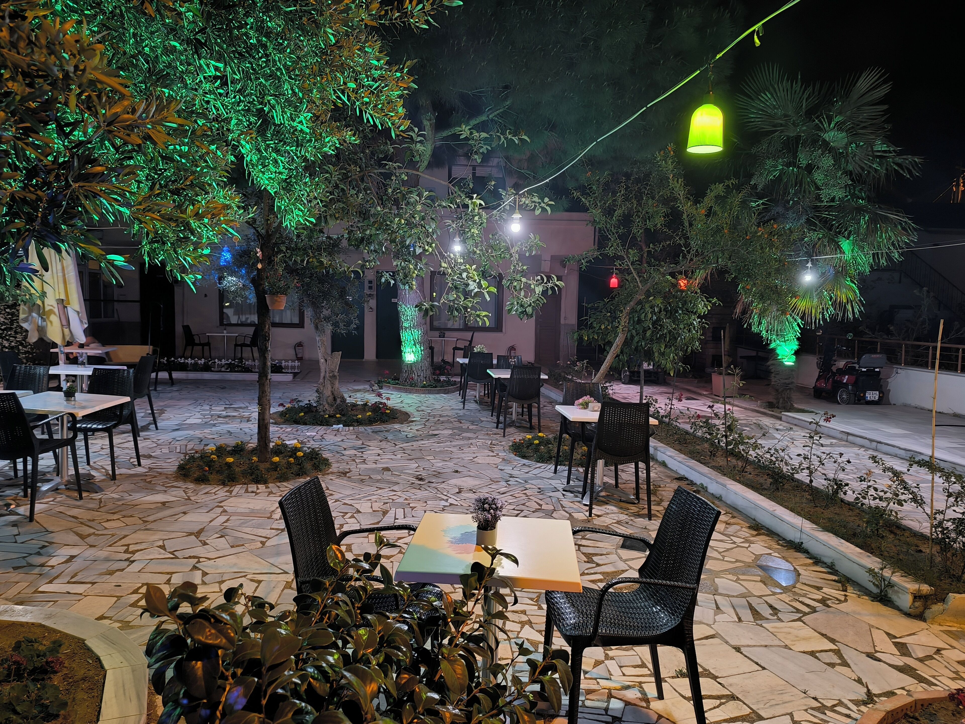 Un área de patio al aire libre con mesas y sillas, rodeada de árboles y plantas, e iluminada por luces colgantes.