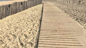 A wooden boardwalk along a sandy beach with a wooden fence on one side and a grassy dune on the other.