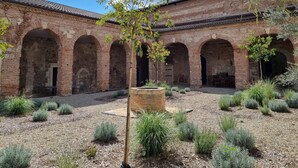 Un patio con arcos de ladrillo, un árbol central y vegetación circundante.