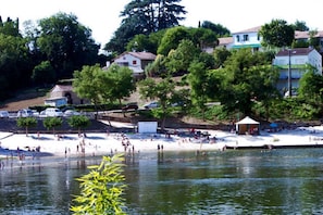 Lettini da mare