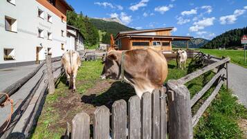Un bâtiment avec une enseigne indiquant « Mooshof » et une clôture en bois.