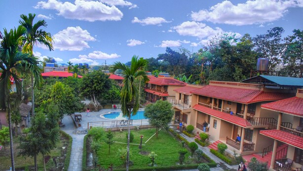 A courtyard with a swimming pool, surrounded by lush greenery and palm trees. - Safari Club (Sauraha)