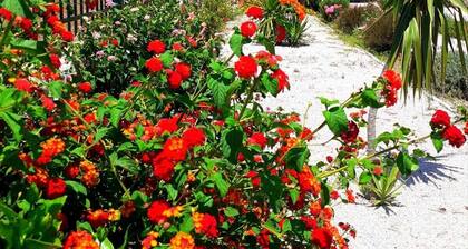 Ferienhaus 'Casa D' Irene' mit Meerblick, WLAN und Klimaanlage