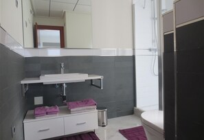 Baignoire, sèche-cheveux, serviettes fournies
