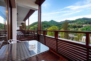 Standard Room, City View | Terrace/patio - Hotel Tisa (Baile Olanesti)