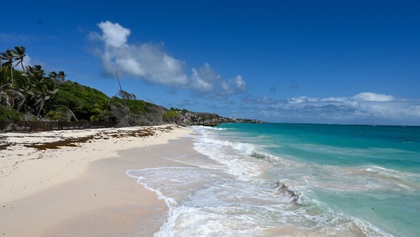 A beach with clear turquoise water, sandy shore, and palm trees.