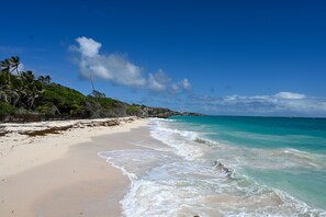 A beach with clear turquoise water, sandy shore, and palm trees.