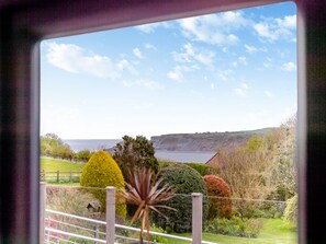 Unclassified image, 2 of 45, button