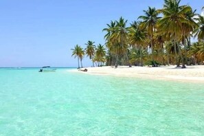 A beach with clear turquoise water, palm trees, and a boat.