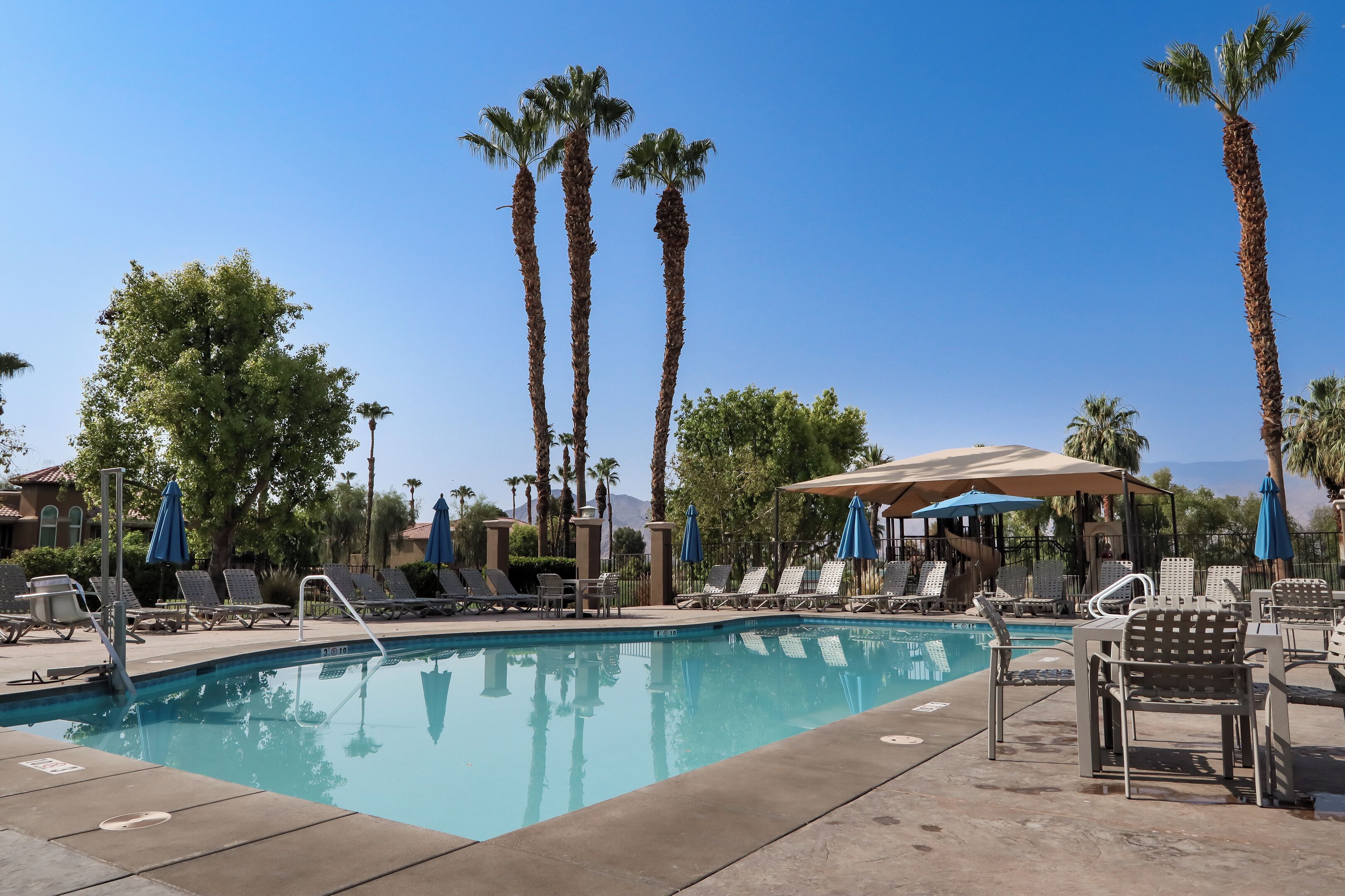 A pool area with lounge chairs and umbrellas, surrounded by palm trees.