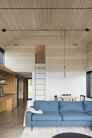 Smart TV, fireplace, books, stereo