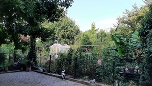 A garden with a greenhouse, a paved path, and various plants. - Le chat Vert, bright and modern 2-room apartment (Strasbourg)