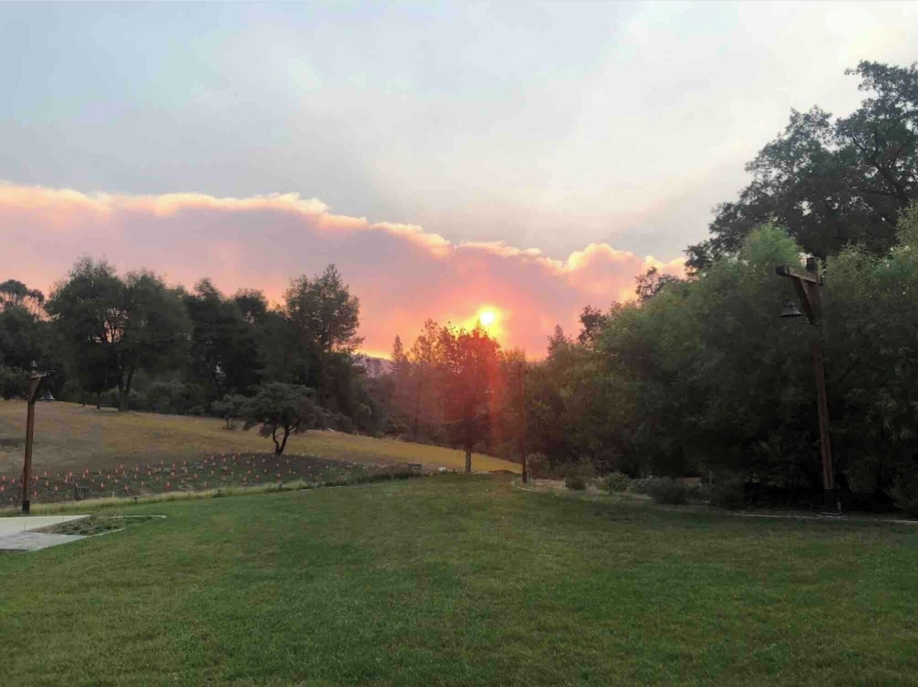 A park with a grassy field, trees, and a sunset in the background.