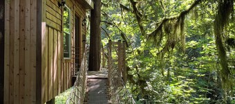 Squamish Tree House